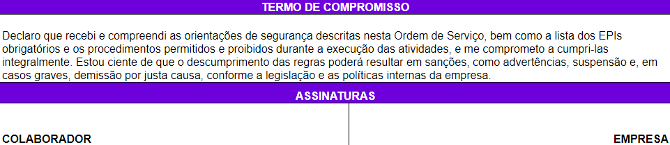 Ordem de serviço nr 1- termo de compromisso e assinatura